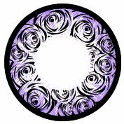 Rosa 14.5mm